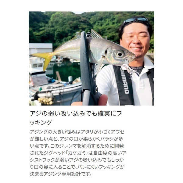 Soare カケガミ デイエディション 0.8g